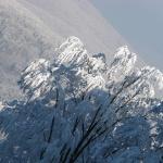 IMG_7748