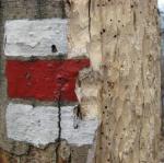20-03-2010_Kobyla