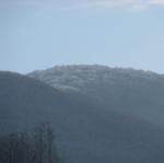 IMG_8841