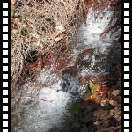 MVI_8927