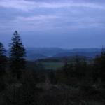 IMG_9551