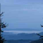 IMG_9554