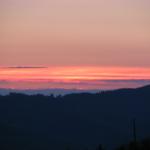 IMG_9557