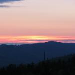 IMG_9559