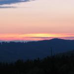 IMG_9560
