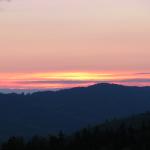 IMG_9561