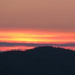 IMG_9565