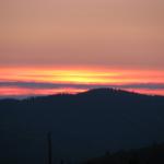 IMG_9567