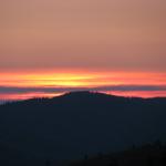 IMG_9568