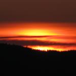 IMG_9574