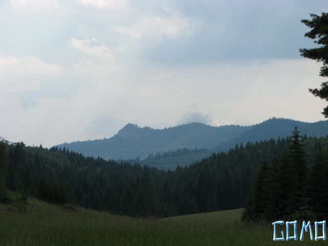 IMG_1449