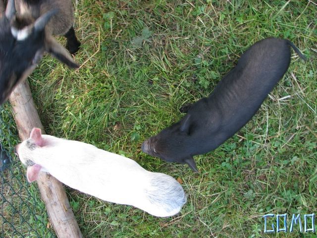 IMG_1473