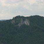 IMG_1778