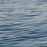 IMG_2637