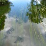 IMG_2764