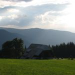 IMG_2929