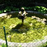 IMG_3281