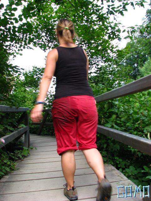 IMG_3312