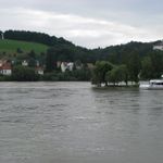 IMG_4340
