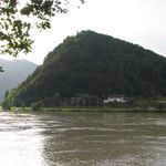 IMG_4348