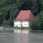 IMG_4351