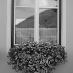 IMG_4365