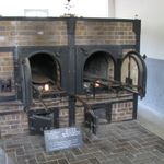 IMG_4530