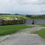 IMG_4550