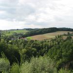 IMG_4552