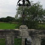 IMG_4587