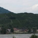 IMG_4760