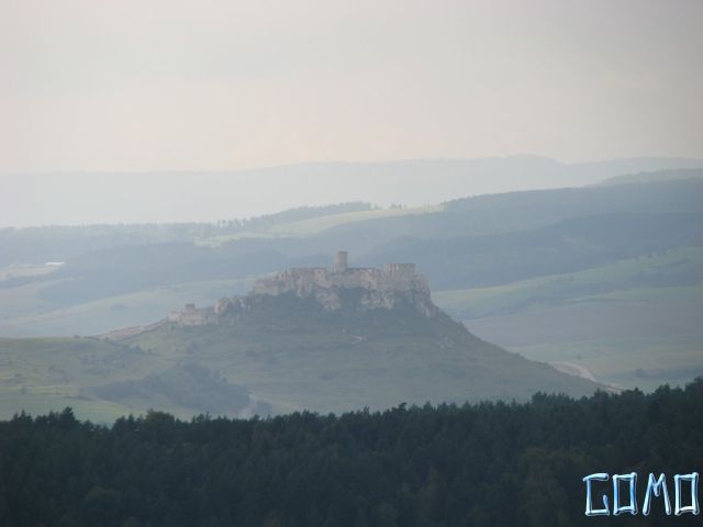 IMG_5228