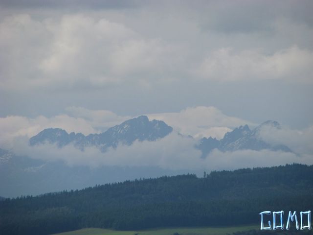 IMG_5571
