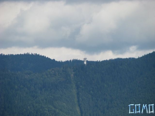 IMG_5576