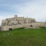 IMG_5591