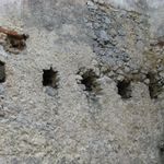 IMG_5842