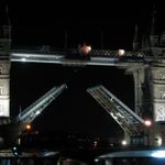 IMG_6557