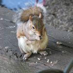 IMG_6670