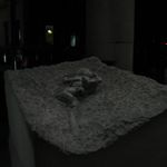 IMG_6934