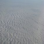 IMG_6979