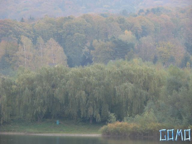 IMG_7096