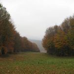 IMG_7158