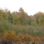 IMG_7181