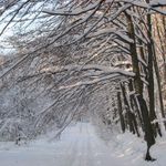 IMG_7797