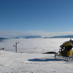 01-02-2011_Martinky