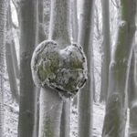 IMG_8510