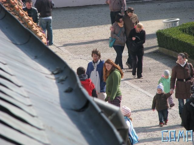 IMG_8663