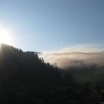 IMG_9119