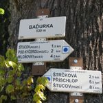 IMG_9128