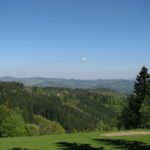 IMG_9130